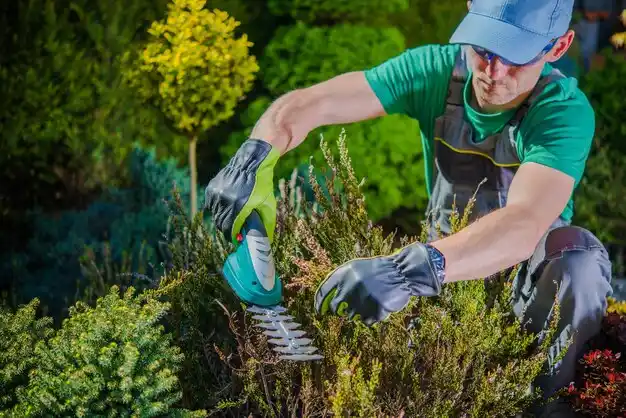 landscaping services Cattaraugus